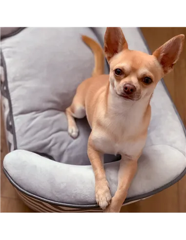 PawHut Dog Sofa Pet Couch for XS Dogs w/ Removable Sponge Padded Cushion - Grey