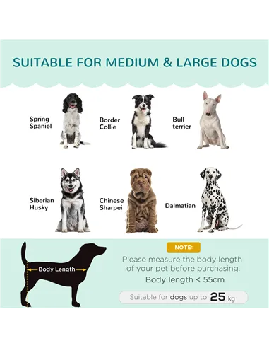 PawHut Dog Sofa, Pet Couch Bed for Medium, Large Dogs, with Legs, Cushion - Green