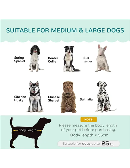 PawHut Dog Sofa, Pet Couch Bed for Medium, Large Dogs, with Legs, Cushion - Green