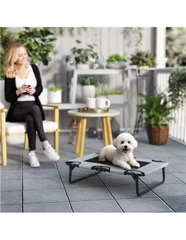 PawHut Portable Raised Dog Bed, Elevated Pet Cot with Breathable Mesh for Indoor Outdoor, for Small Medium Dogs, Light Grey
