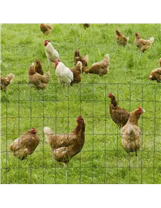 PawHut 0.6M x 10M Chicken Wire Mesh Roll Rabbit Poultry Animal Fence PVC Coated Steel Metal Garden Netting Fencing 2