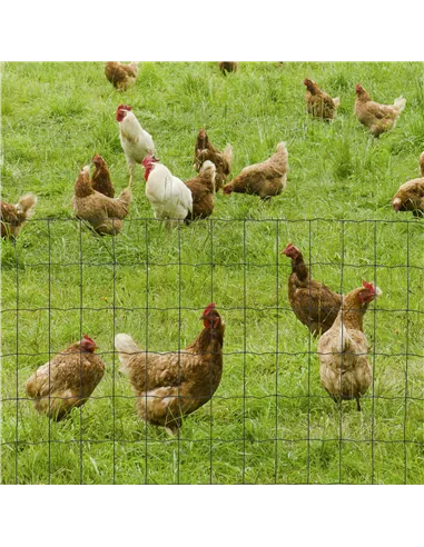 PawHut 0.6M x 10M Chicken Wire Mesh Roll Rabbit Poultry Animal Fence PVC Coated Steel Metal Garden Netting Fencing