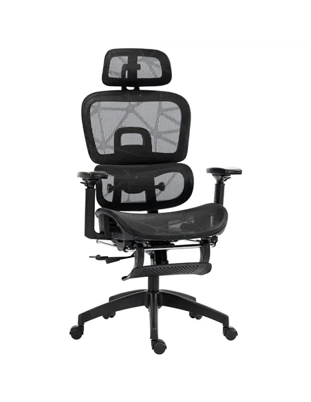 HOMCOM Multi-Adjustable Mesh Office Chair - Black