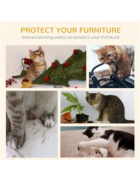 PawHut 100cm Cat Tree for Indoor Cats, Cat Tower Condo for Kittens with Cat House Sisal Scratching Posts, Hanging Ball Toys, Per