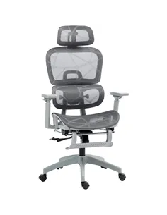 HOMCOM Multi-Adjustable Mesh Office Chair - Grey