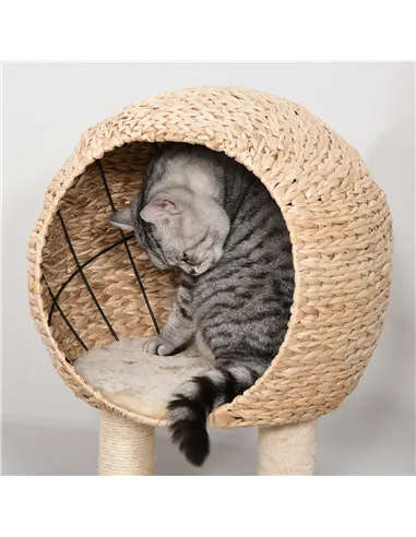 PawHut Cat Tree for Indoor Cats 100cm Kitten Climbing Tower Activity Center with Sisal Scratching Post Condo Perch Hanging Balls
