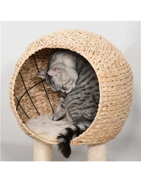 PawHut Cat Tree for Indoor Cats 100cm Kitten Climbing Tower Activity Center with Sisal Scratching Post Condo Perch Hanging Balls