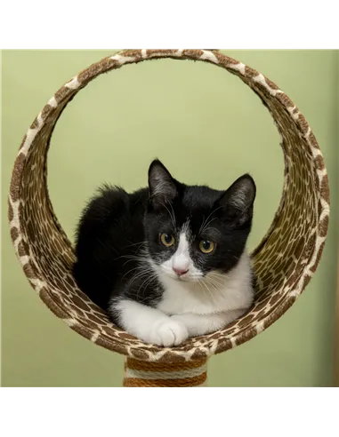 PawHut Giraffe-Designed Cat Tree, with Scratching Posts, Cat Tunnel, Toy Ball - Beige