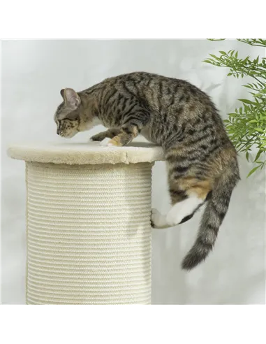 PawHut 85cm Tall Cat Scratching Post, with Sisal Rope, Soft Plush, Anti Tip - Beige