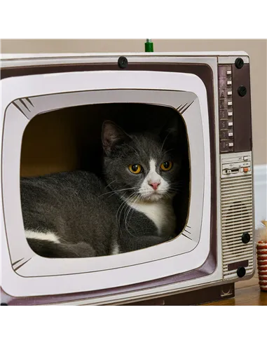 PawHut TV-Shaped Scratching Board with Scratcher, Catnip, Toy Rat, Cat Scratcher for Indoor Cats, 43 x 23 x 32.5cm