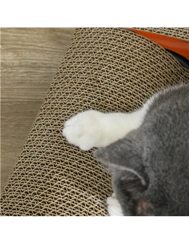 PawHut 2 in 1 Cat Scratching Board with Catnip, Car-shaped