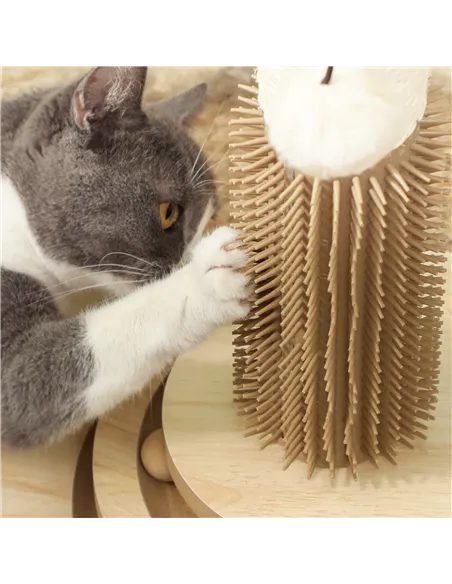 PawHut 49cm 5 in 1 Cat Scratching Post with Sisal Post, Track Ball, Self Grooming Brush, Hanging Toy Ball, Feather, Oak Tone