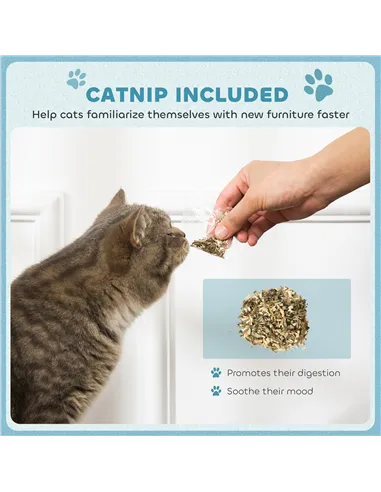 PawHut 2-in-1 Cat Scratcher with Catnip for Indoor Cats, Light Blue