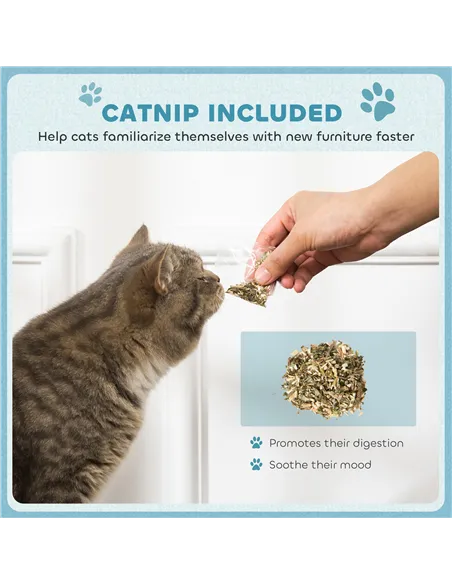 PawHut 2-in-1 Cat Scratcher with Catnip for Indoor Cats, Light Blue