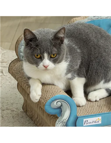 PawHut 2-in-1 Cat Scratcher with Catnip for Indoor Cats, Light Blue