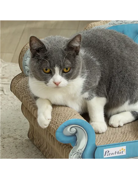 PawHut 2-in-1 Cat Scratcher with Catnip for Indoor Cats, Light Blue