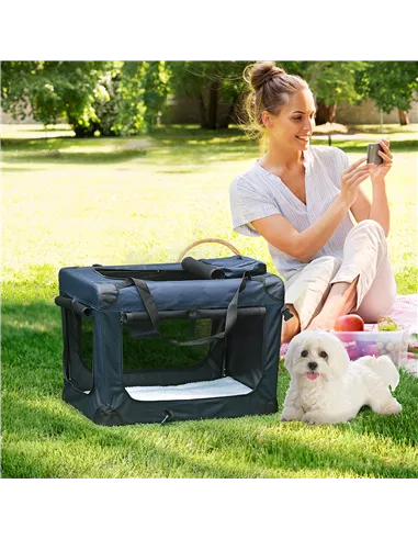 PawHut Foldable Pet Carrier for Small and Miniature Dogs, Portable Cat Carrier Soft Side Pet Travel Crate with Removable Mat, St