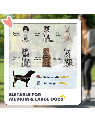 PawHut Foldable Pet Stroller, with Universal Wheels, Shock Absorber, for Medium and Large Dogs - Grey