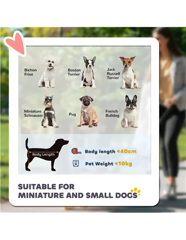 PawHut Foldable Dog Stroller, Pet Travel Crate, with Detachable Carrier, Soft Padding, for Mini, Small Dogs - Grey