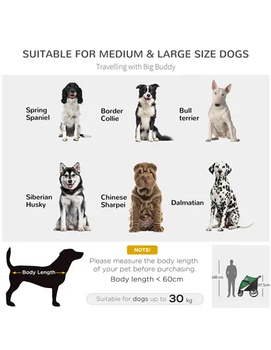 PawHut Foldable Pet Stroller, with Washable Cushion, Storage Bags, Safety Leash, for Medium, Large Dogs, Cats - Green
