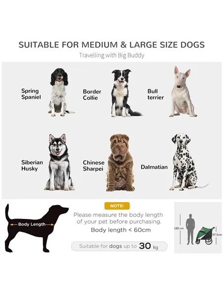 PawHut Foldable Pet Stroller, with Washable Cushion, Storage Bags, Safety Leash, for Medium, Large Dogs, Cats - Green
