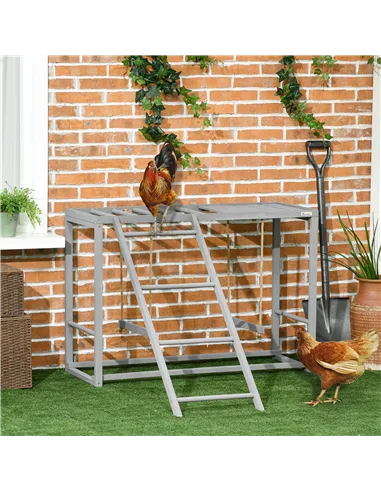 PawHut Chicken Activity Play with Swing Set for 3-4 Chickens, Wooden Chicken Coop, Grey
