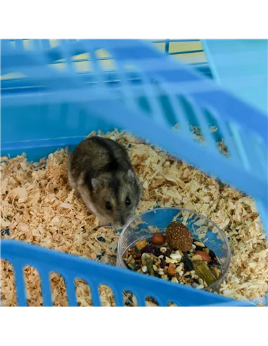 PawHut 5 Tier Hamster Cage Carrier Habitat with Exercise Wheels Tunnel Tube Water Bottle Dishes House Ladder for Dwarf Mice, Blu