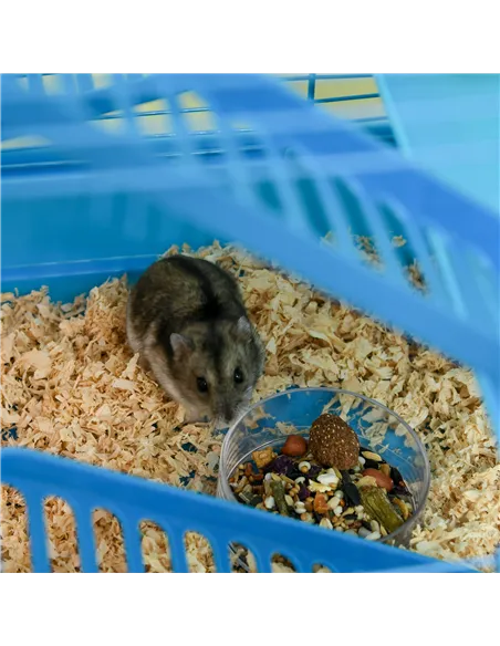 PawHut 5 Tier Hamster Cage Carrier Habitat with Exercise Wheels Tunnel Tube Water Bottle Dishes House Ladder for Dwarf Mice, Blu