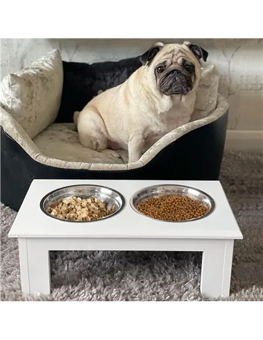 PawHut Raised Dog Feeding Bowls with Stand, Stainless Steel for  Extra Small and Small Dog, 44L x 24W x 15H cm - White