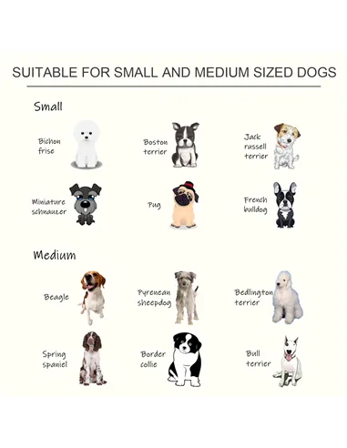 PawHut Raised Dog Feeding Bowls with Stand, Stainless Steel for Medium Dog, 58L x 31W x 25H cm - White