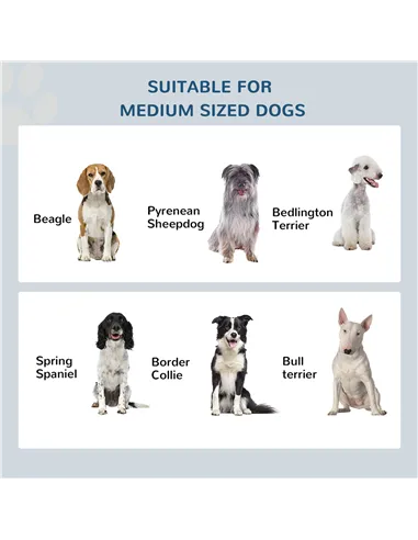 PawHut Raised Dog Feeding Bowls with Stand, Stainless Steel for Medium Dog, 58L x 31W x 25H cm - Brown