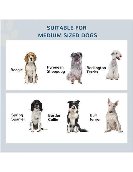 PawHut Raised Dog Feeding Bowls with Stand, Stainless Steel for Medium Dog, 58L x 31W x 25H cm - Brown
