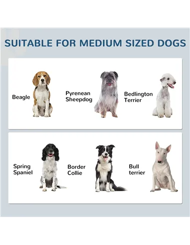 PawHut Pet Feeding Station with Raised Dog Bowls, Adjustable Panel, Hooks, White