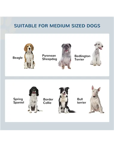 PawHut Raised Dog Feeding Bowls with Stand, Stainless Steel for Medium Dog, 58L x 31W x 25H cm - Grey