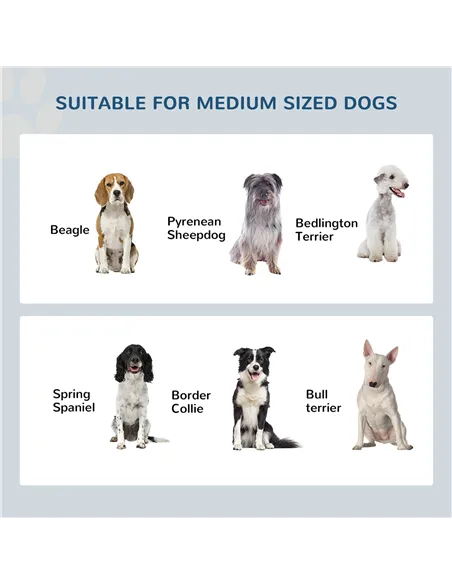 PawHut Raised Dog Feeding Bowls with Stand, Stainless Steel for Medium Dog, 58L x 31W x 25H cm - Grey