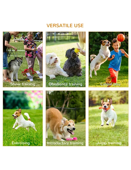Pawhut Dog Agility Equipment Portable Pet Training Obstacle Set for Dogs 5 Pieces w/ Adjustable High Jumping Pole, Jumping Ring,