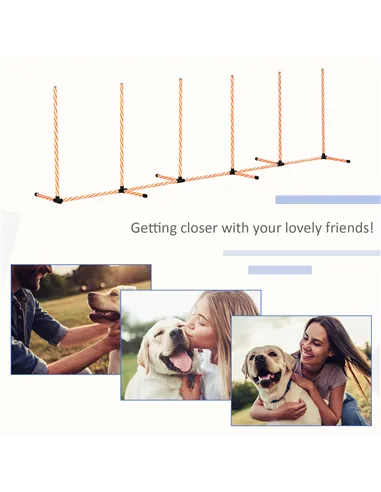 PawHut Dog Agility Equipment Pet Outdoor Training Play Run Obstacle w/ 6 Weaves Poles Whistle Carrying Bag