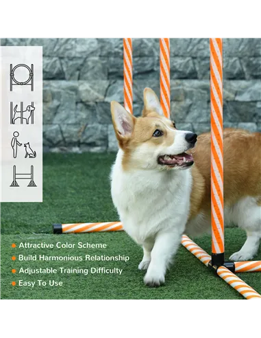 PawHut Dog Agility Equipment Pet Training Set with Adjustable Height Jump Ring Hurdle Whistle Weave Poles Square Pause Box Carry