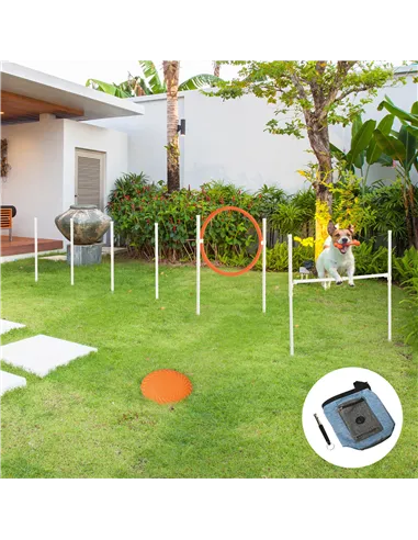 PawHut Dog Agility Training Equipment for Dogs with Carry Bag - Multicoloured