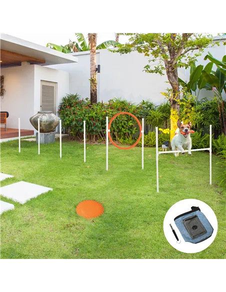 PawHut Dog Agility Training Equipment for Dogs with Carry Bag - Multicoloured