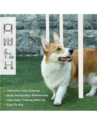 PawHut Dog Agility Training Equipment for Dogs with Carry Bag - Multicoloured