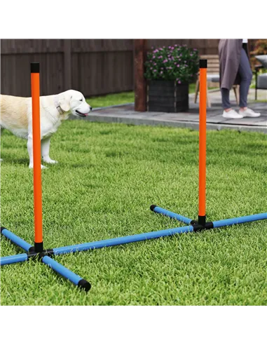PawHut 6-Piece Dog Agility Equipment Set with Weave Poles, Jump Ring, Hurdle, Pause Box, Bag, Orange