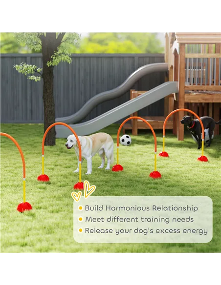 PawHut 4-Piece Dog Agility Training Equipment with 4 Adjustable Width Doors, Bag, for Garden, Orange