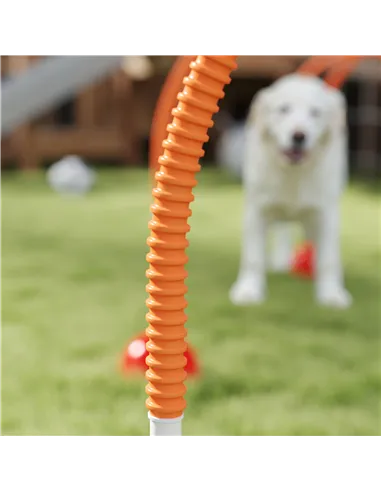 PawHut 4-Piece Dog Agility Training Equipment with 4 Adjustable Width Doors, Bag, for Garden, Orange