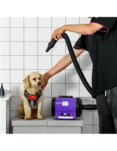 PawHut Dog Hair Dryer Pet Grooming Blaster Dryer Blower Adjustable Temperature Speed with 2.1M Flexible Hose 3 Nozzles - Purple
