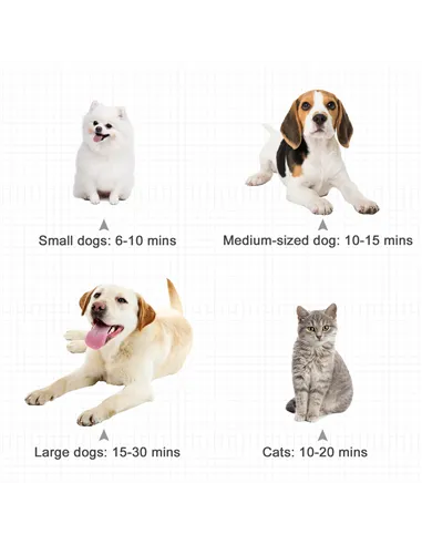 PawHut Dog Hair Dryer Pet Grooming Blaster Dryer Blower Adjustable Temperature Speed with 2.1M Flexible Hose 3 Nozzles - Black