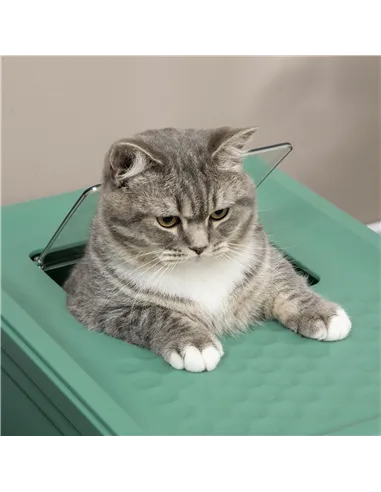 PawHut Hooded Cat Litter Box, Portable Pet Toilet, with Scoop, Front Entry - Green