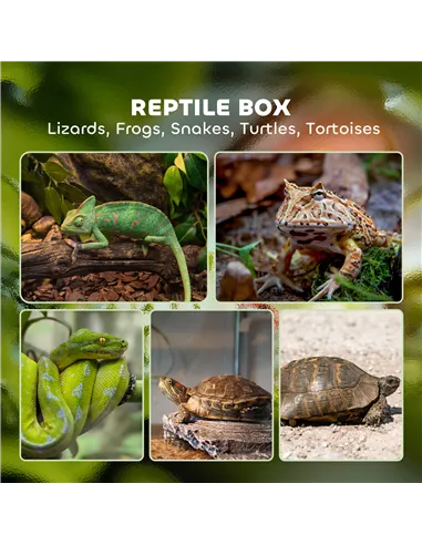 PawHut 12L Vivarium for Lizards, Frogs, Snakes, Turtles, Tortoises w/ Anti-Escape Design, Ventilation