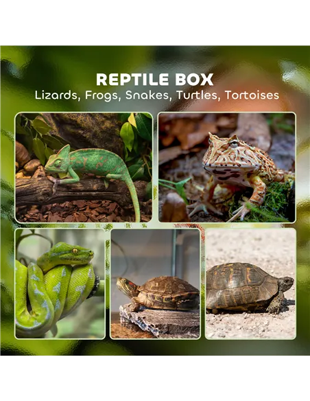 PawHut 12L Vivarium for Lizards, Frogs, Snakes, Turtles, Tortoises w/ Anti-Escape Design, Ventilation