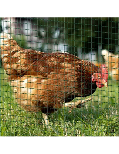 Pawhut PVC Coated Welded Wire Mesh Fencing Chicken Poultry Aviary Fence Run Hutch Pet Rabbit 30m Dark Green